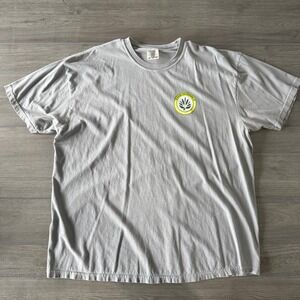 Comfort Colors T Shirt Mens 2XL Gray Official Seal Of Approval Graphic Tee